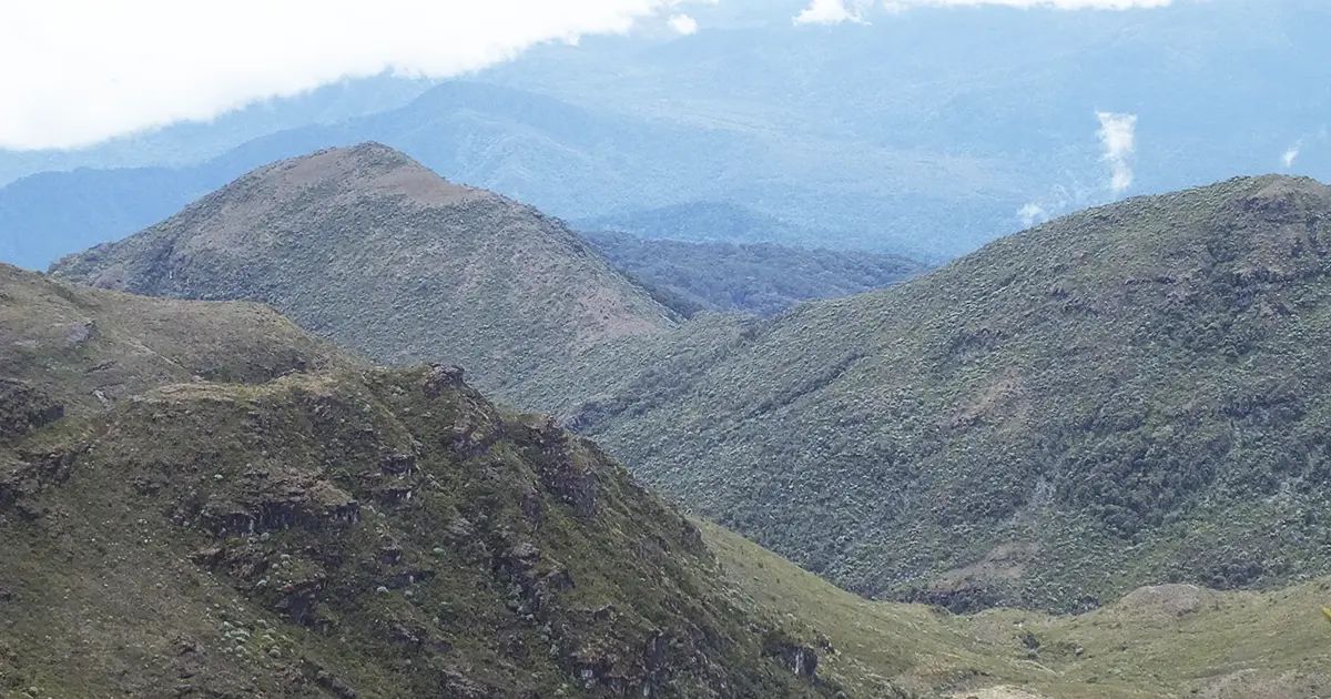 Talamanca Montaña indómita